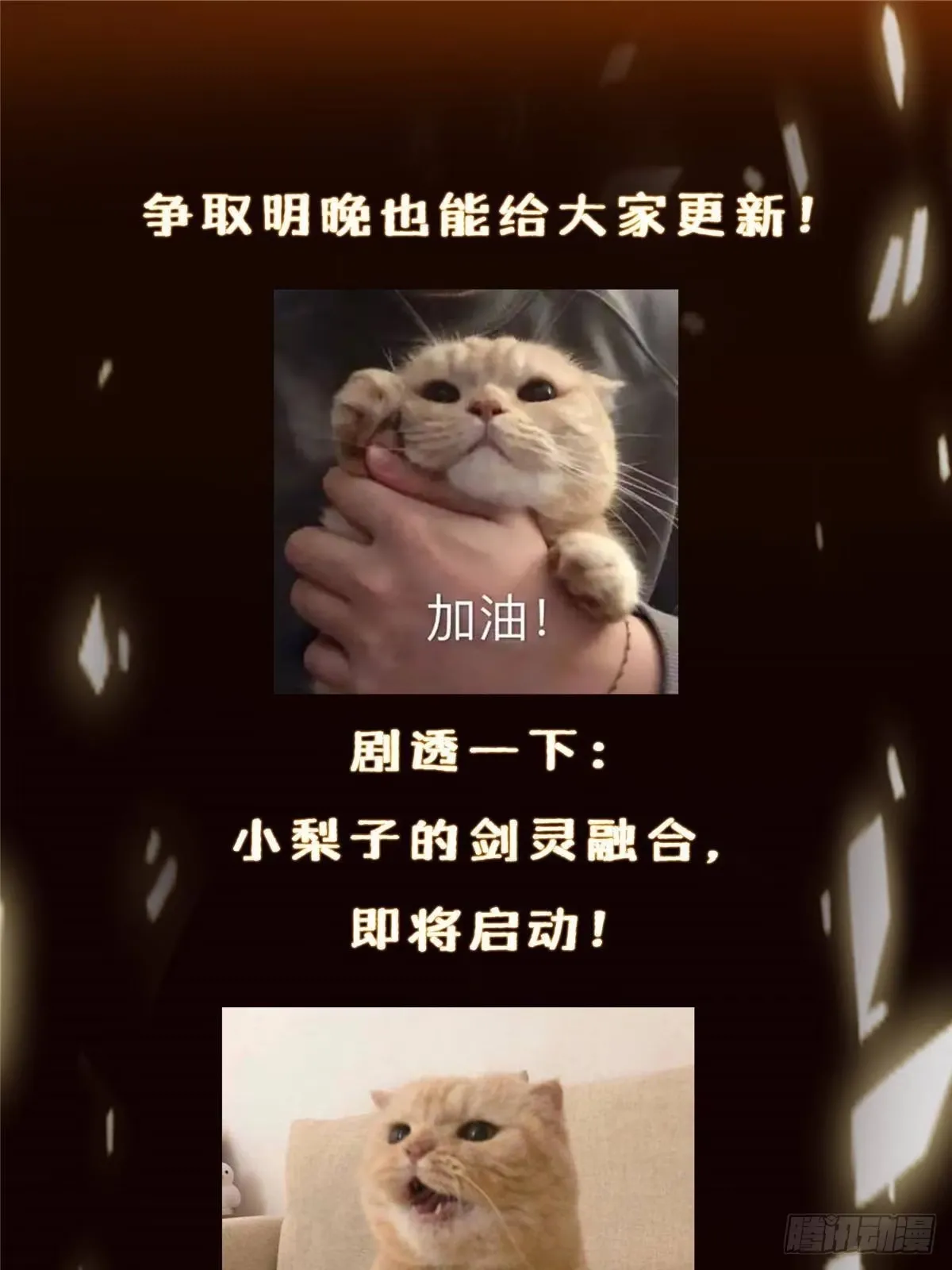 566 人仙藏匿的秘密 第85页