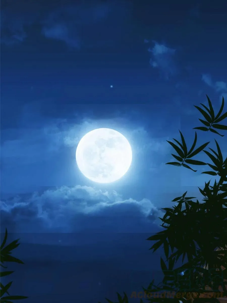 085 这一世我不会错过 第28页