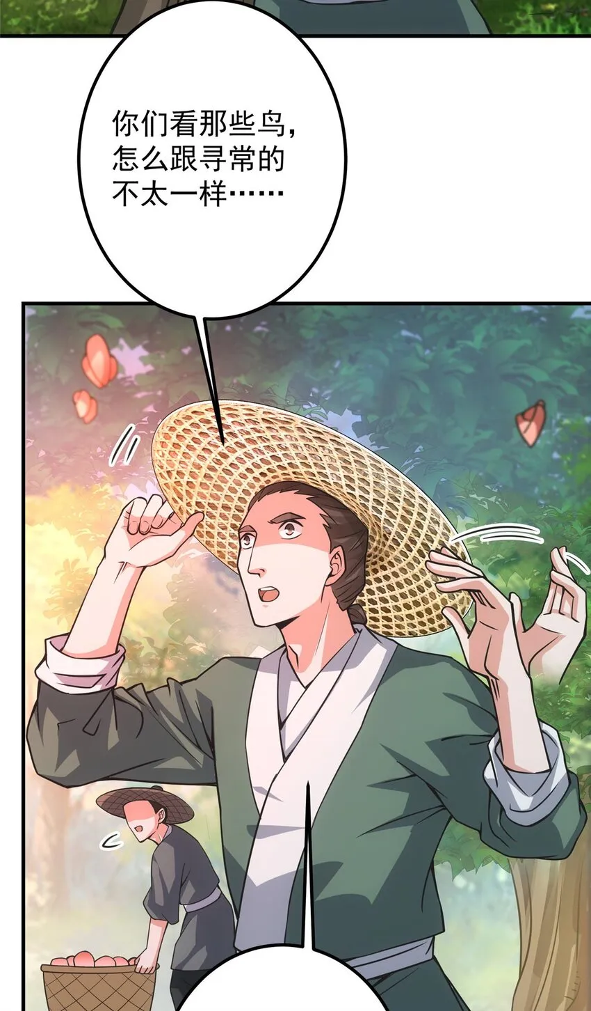 100 群鸟灾祸 第5页