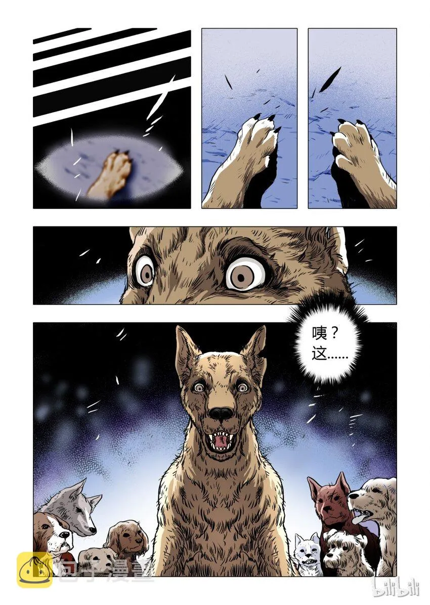 9 犬王8 第3页