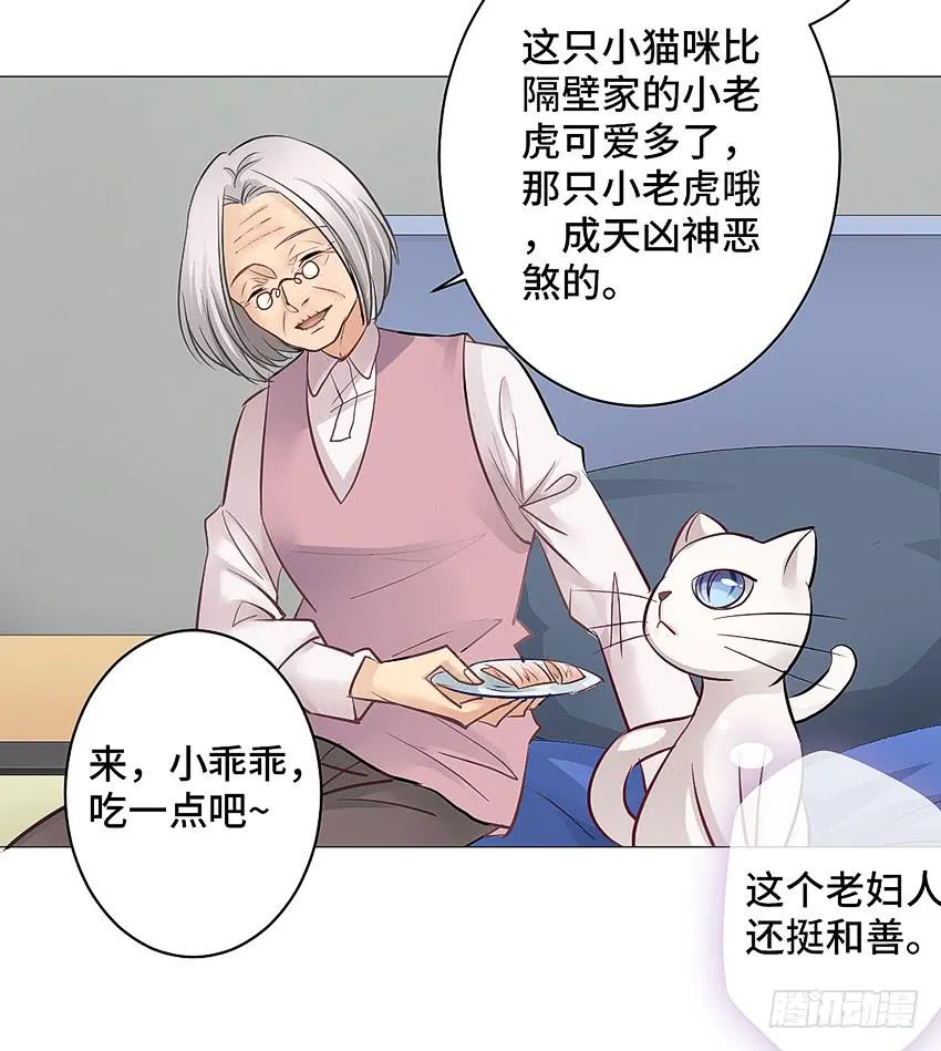 鳕鱼 第22页