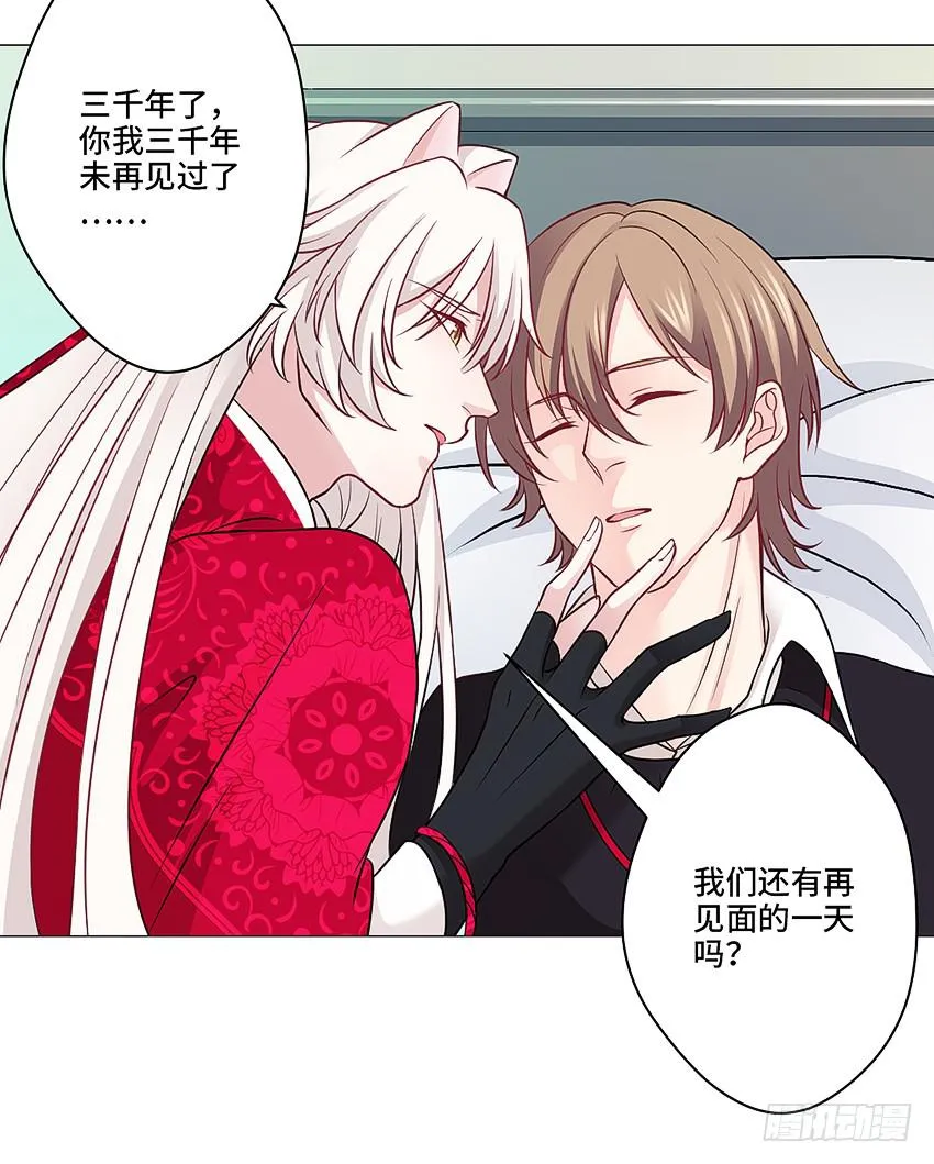 猫精F4 第16页