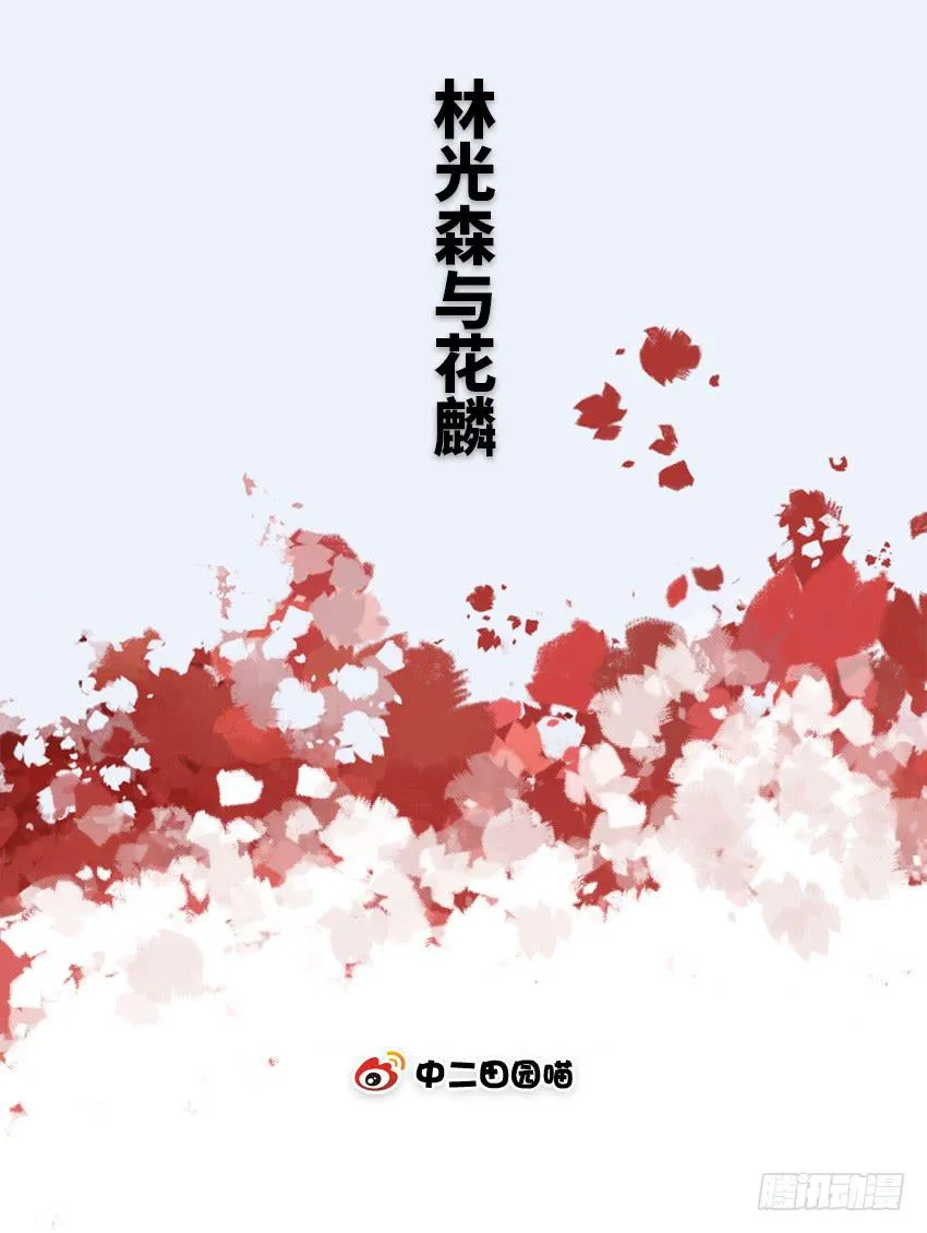 林光森与花麟 第2页