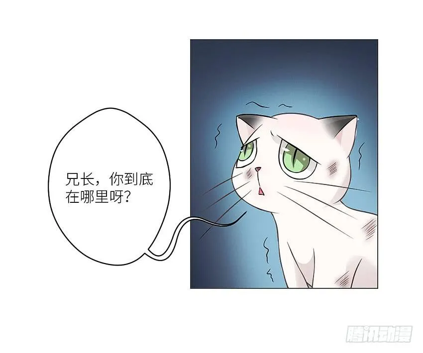 放我下来 第9页