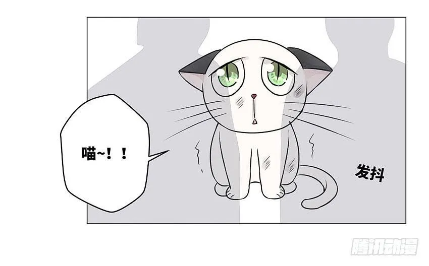 放我下来 第23页