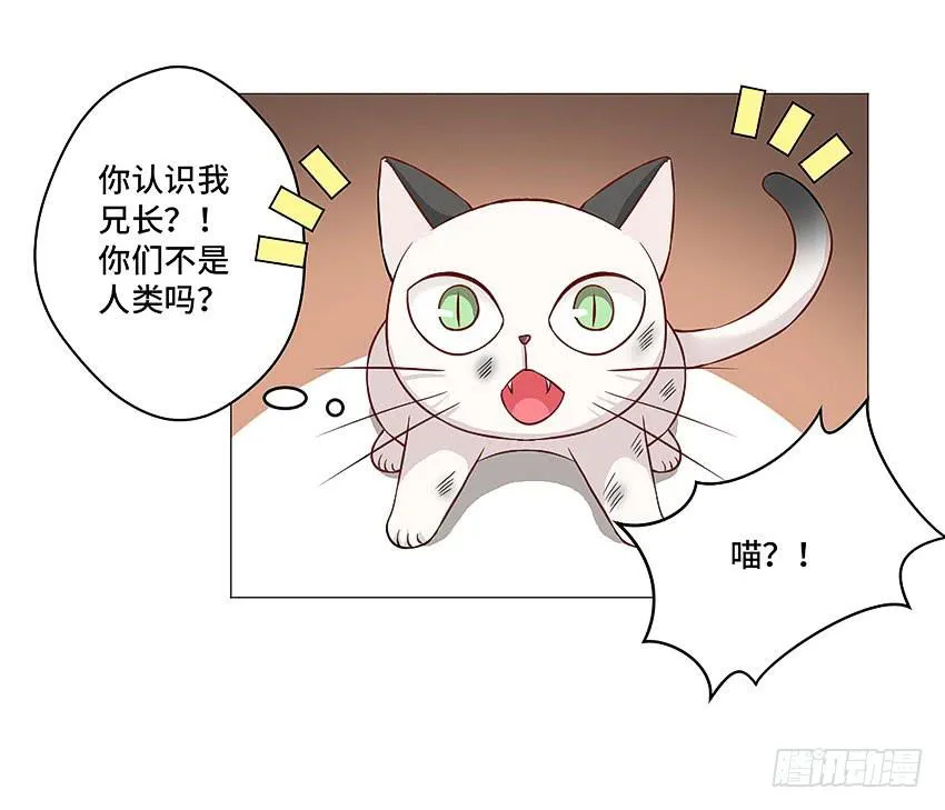 放我下来 第33页