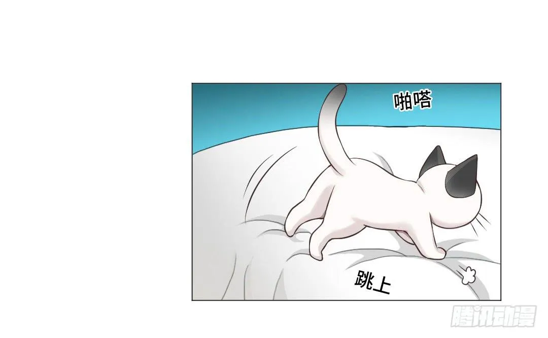 猫妖被睡了！ 第11页