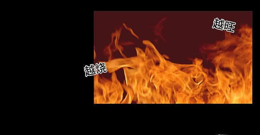 真是只傻猫 第27页