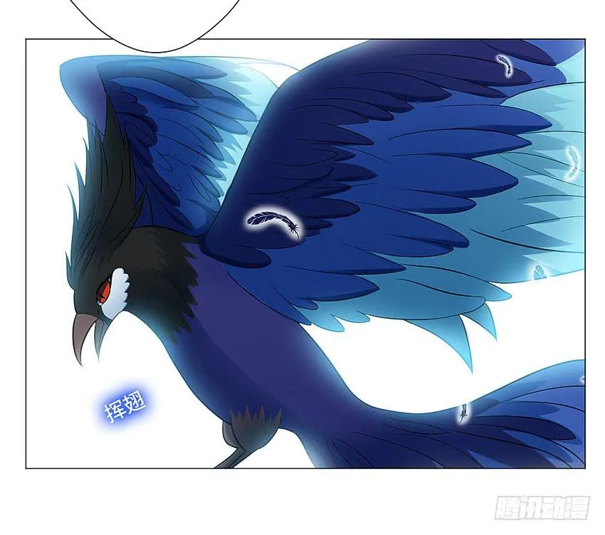 灵鸟 第29页