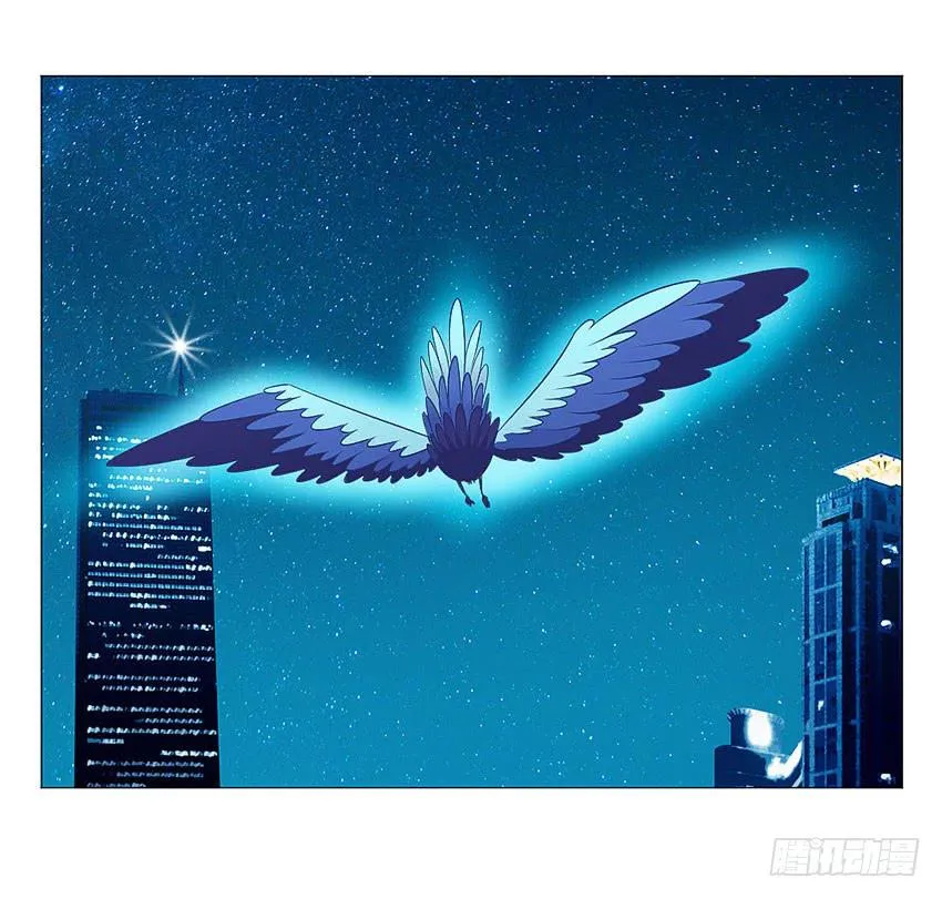 我的鸩儿 第31页