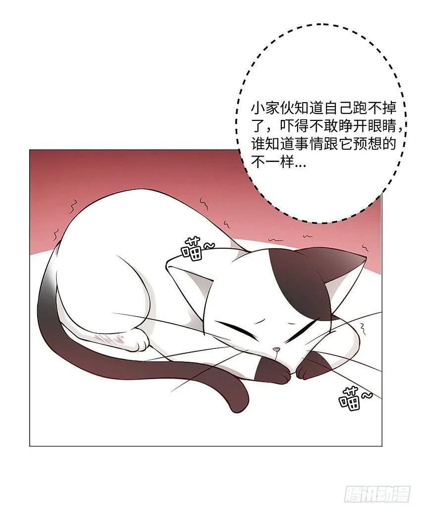 为什么又咬我 第15页