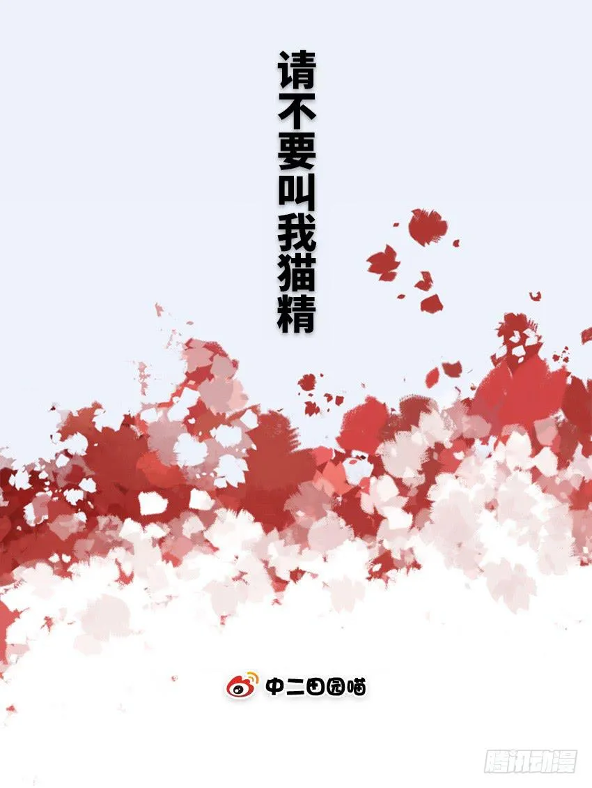 请不要叫我猫精 第2页