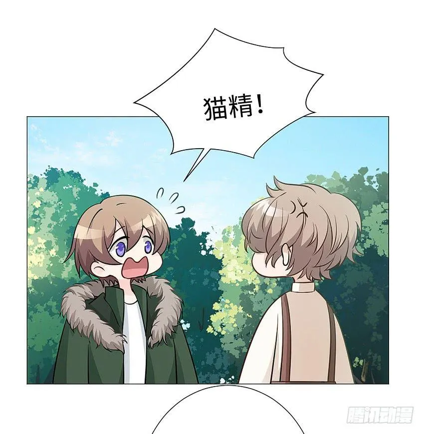 请不要叫我猫精 第8页