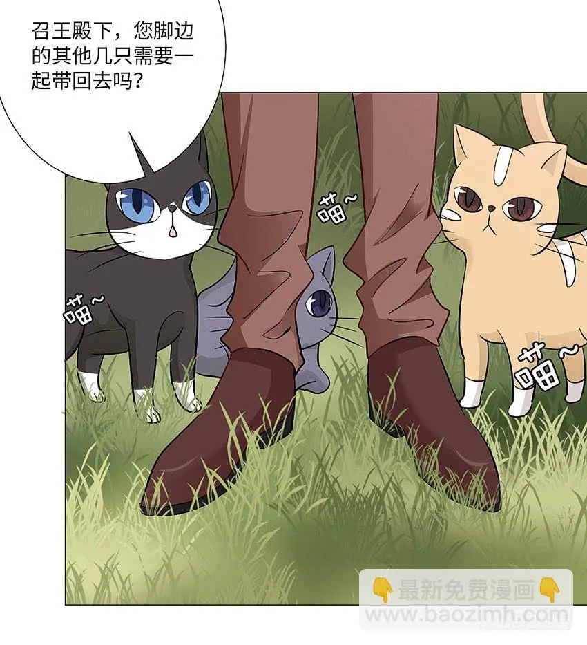 请不要叫我猫精 第13页