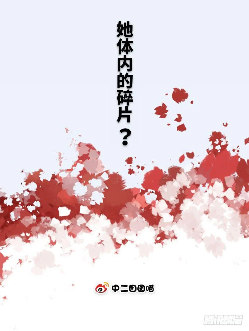 她体内的碎片？ 第2页