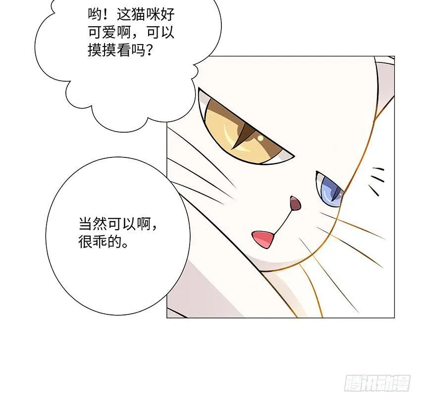 荒芜的院子 第21页
