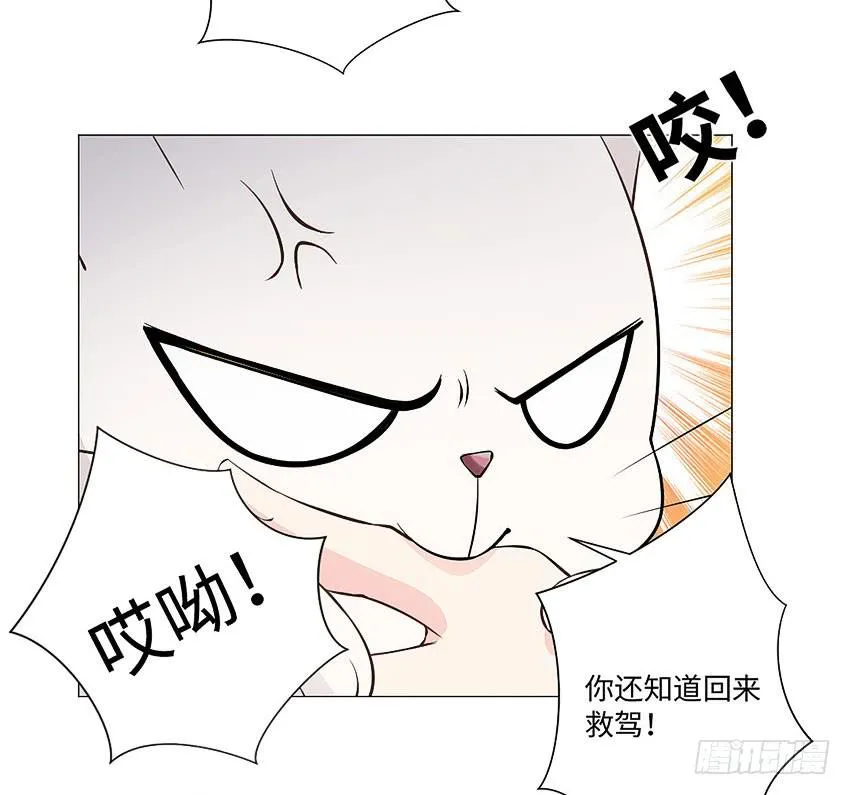 荒芜的院子 第29页
