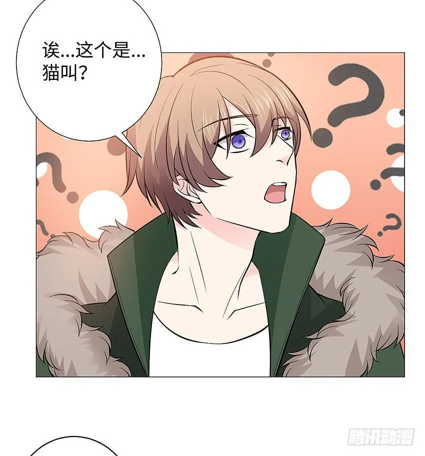 濒死的叫声 第10页