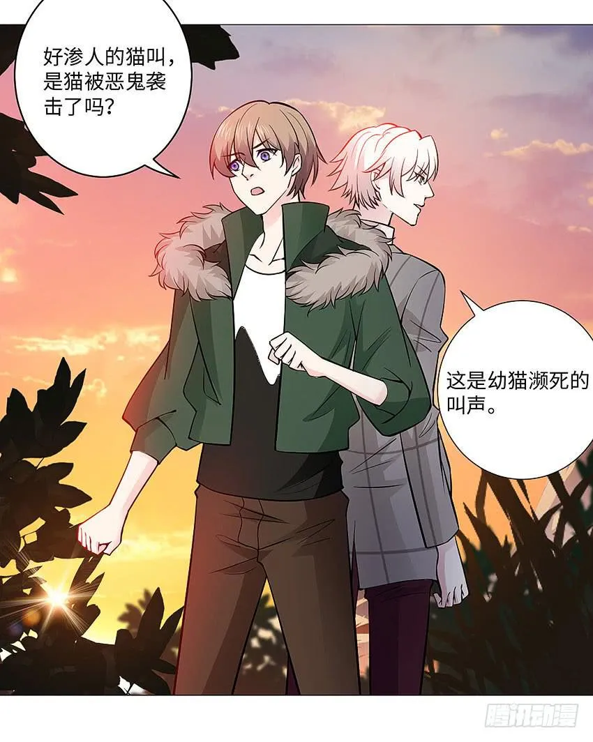 濒死的叫声 第11页
