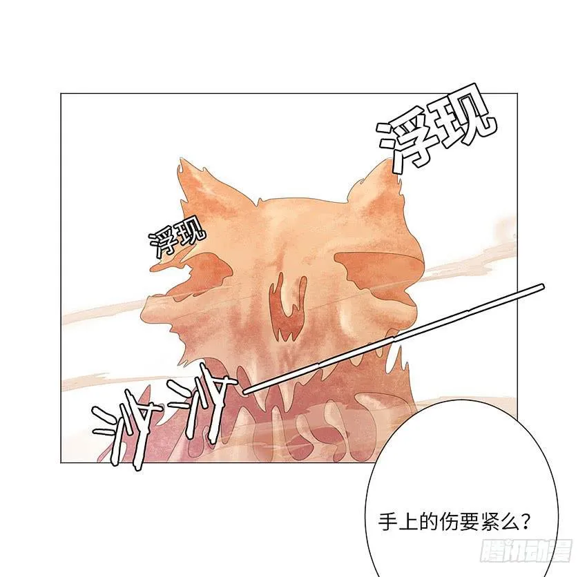 感谢大家的百集支持 第15页