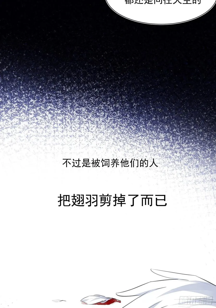 第36话 笼中鸟 第11页
