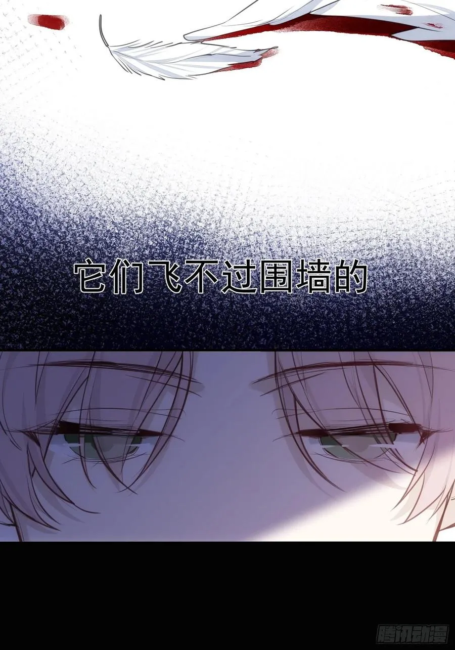 第36话 笼中鸟 第12页