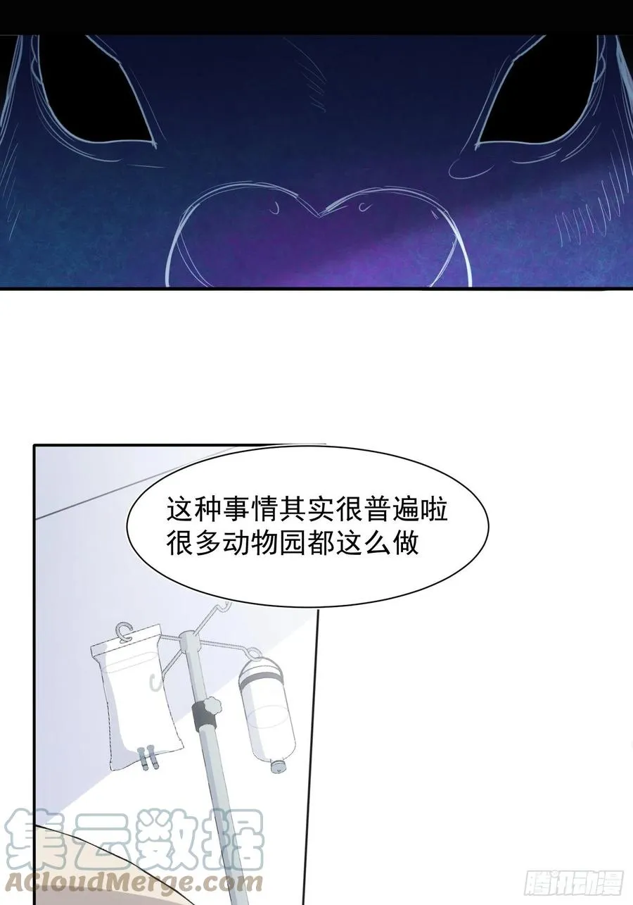 第36话 笼中鸟 第13页