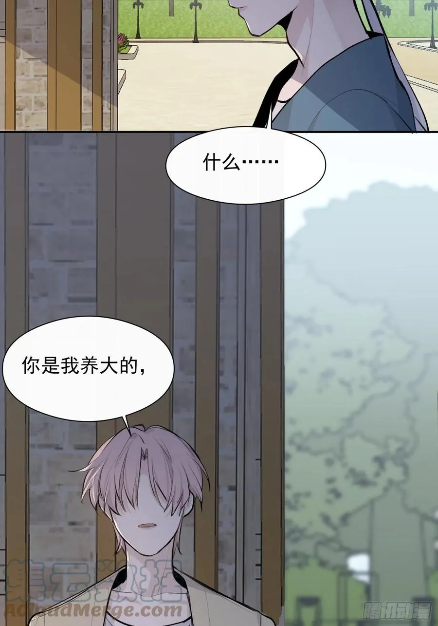 第41话 别再那样称呼我了 第17页