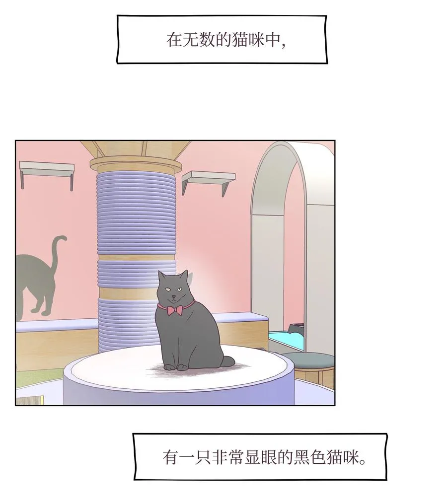 46 喜欢的女生 第11页