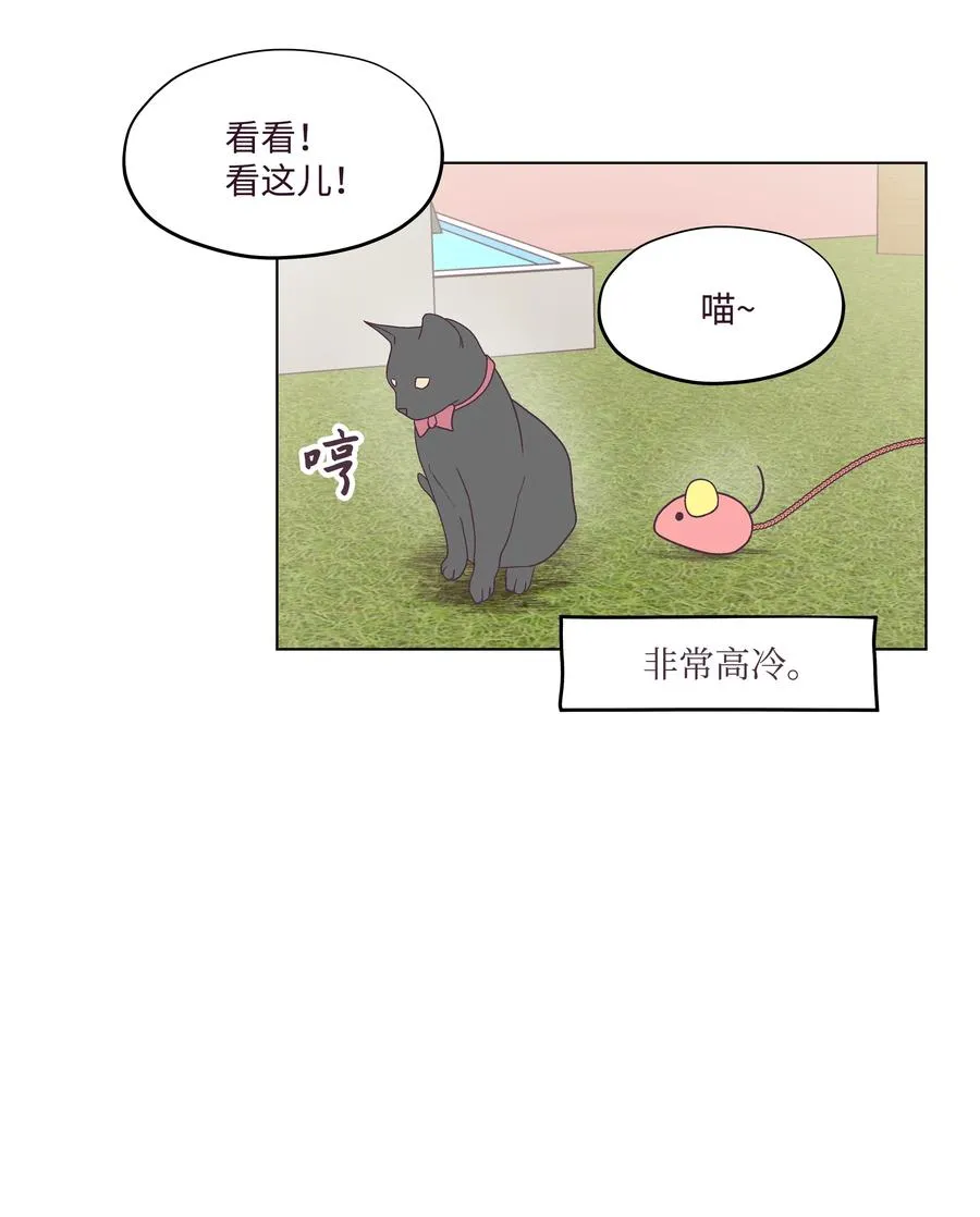 46 喜欢的女生 第12页