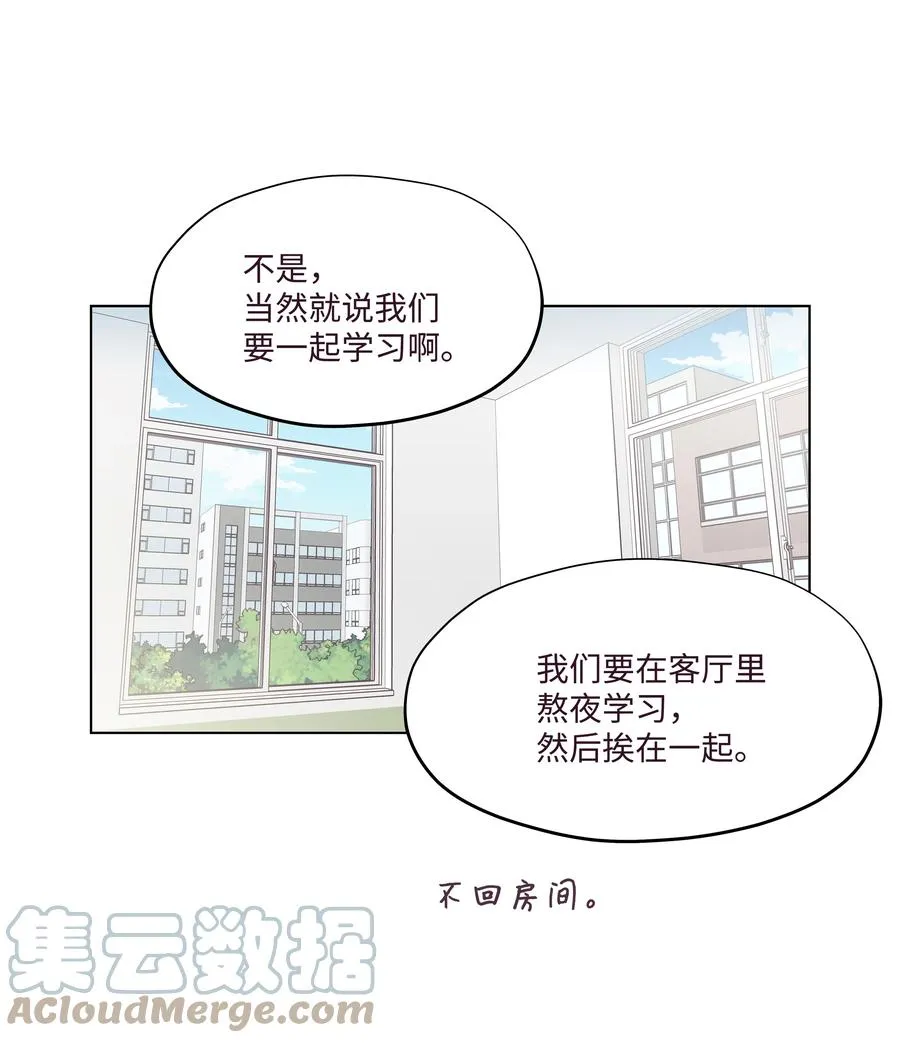 41 最后一天 第13页