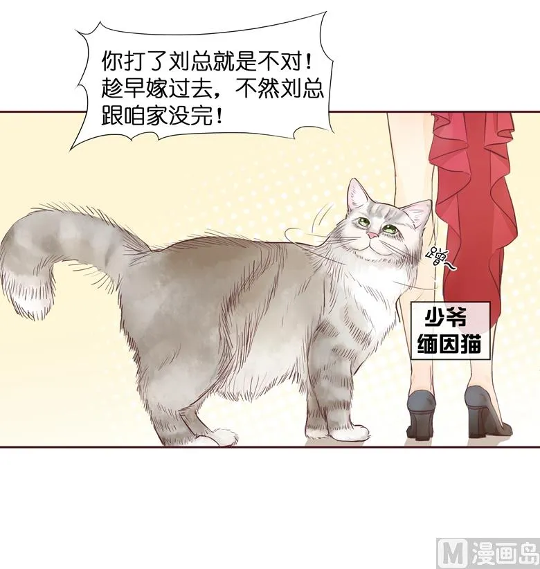 002：湛慕时，你个死gay 第56页