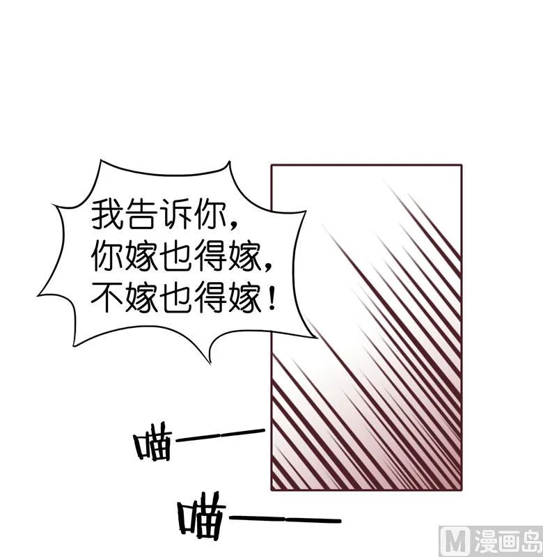 003：二当家的 第12页