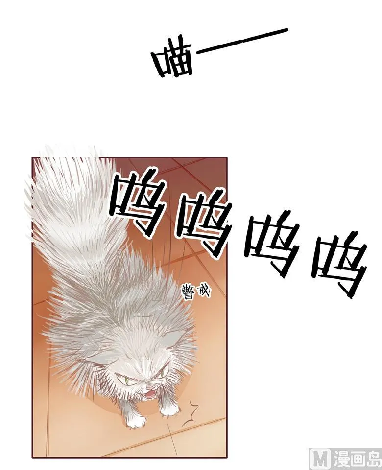 003：二当家的 第13页