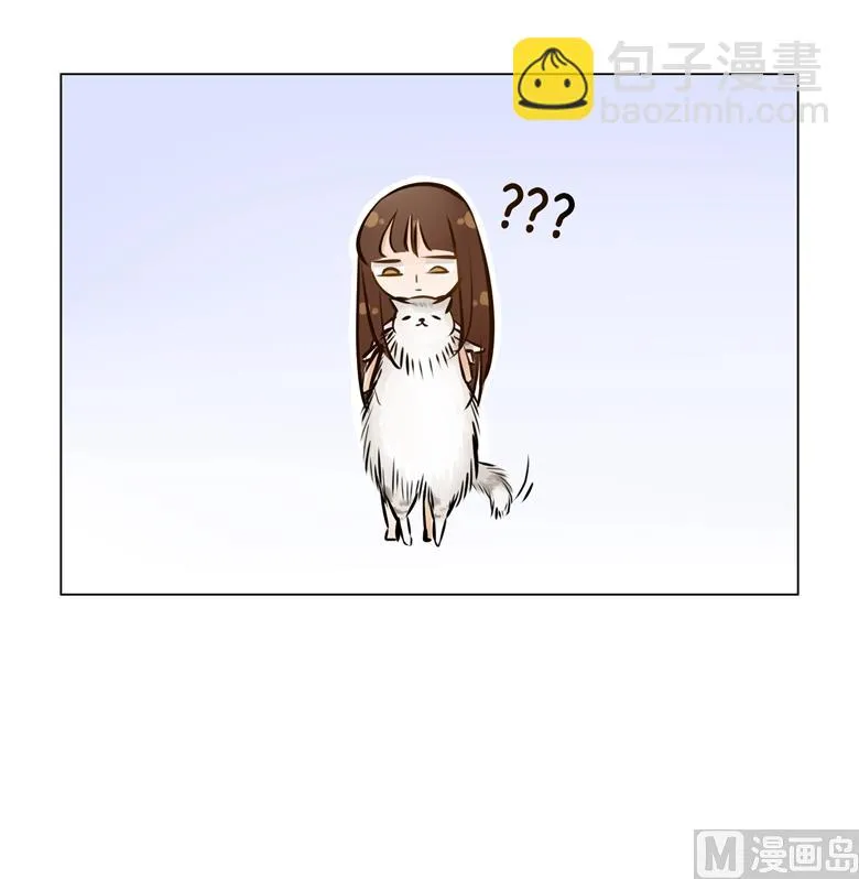 003：二当家的 第53页
