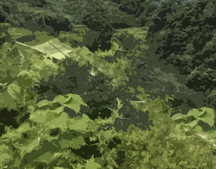 第十话 血月当空 第58页