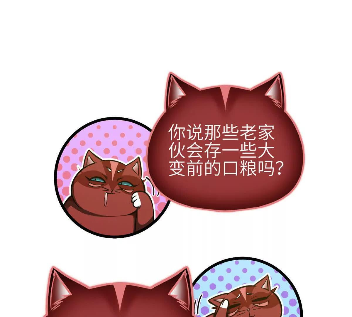 332 从前有只猫 第111页