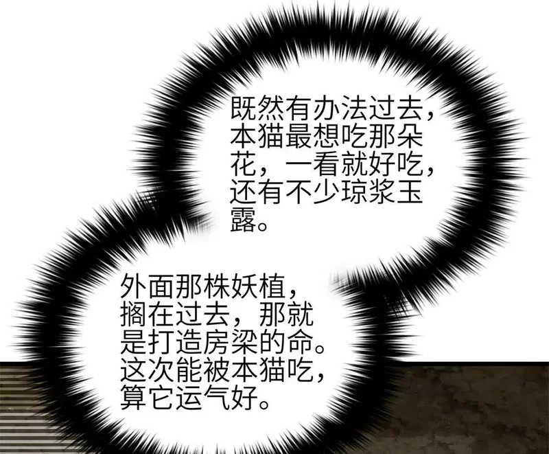335 击溃，大胜！ 第78页