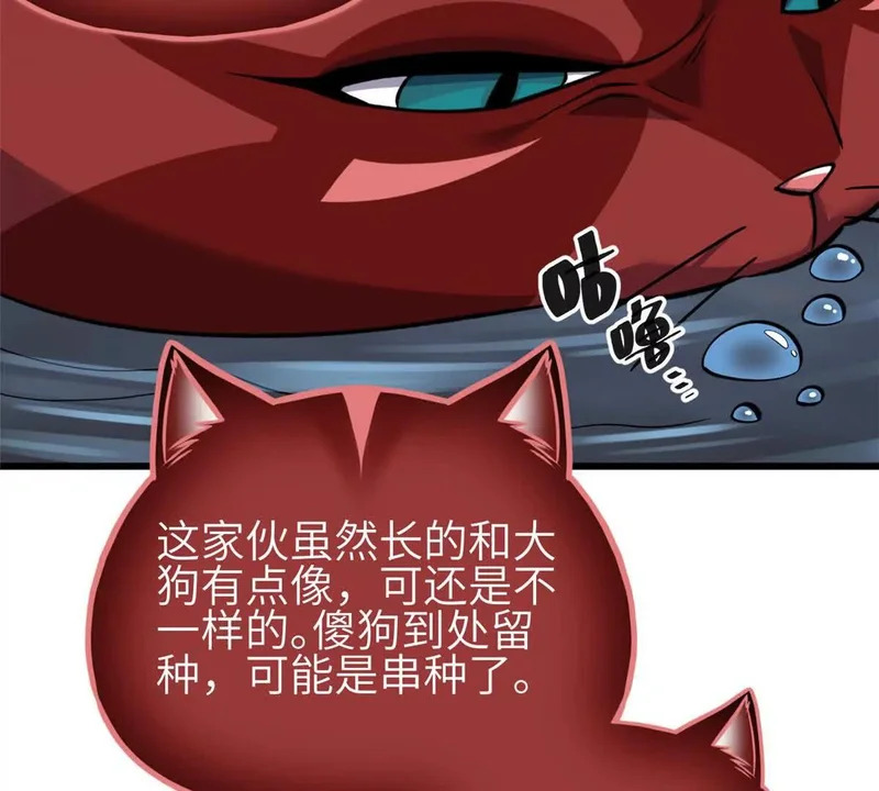 336 砸了棋盘 第105页