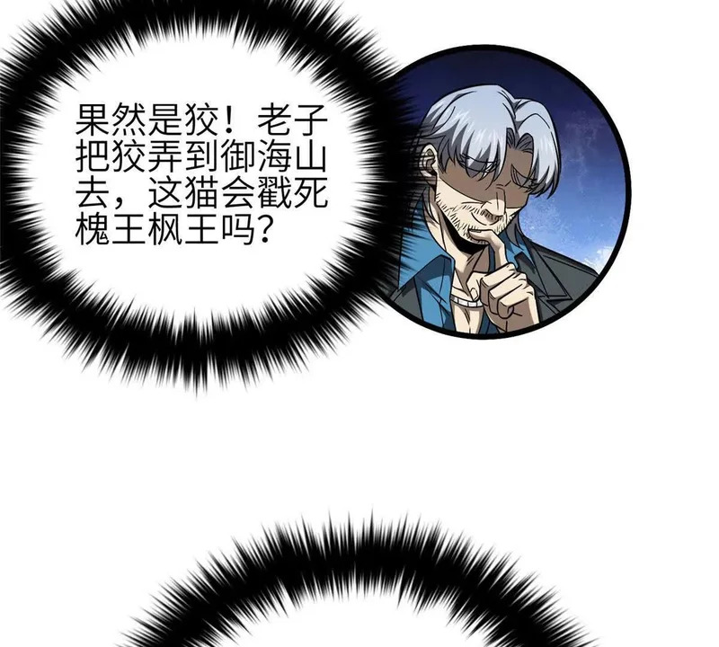 340 我要当棋手 第15页