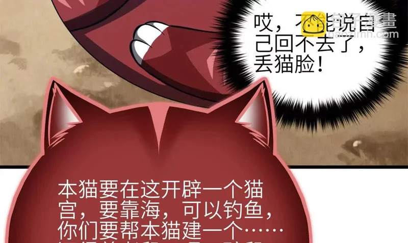 342 绝巅之战 第104页