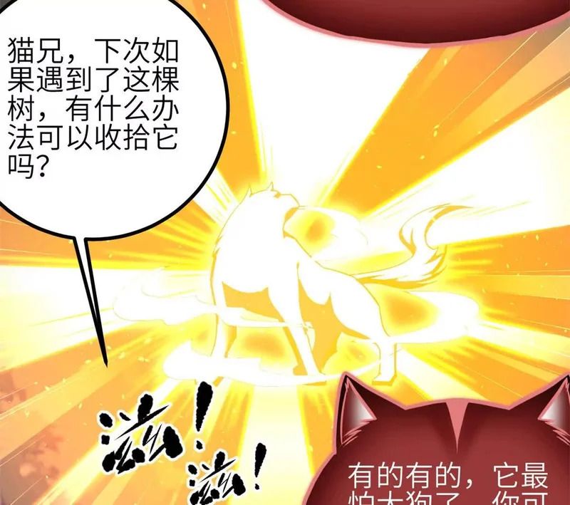 346 闭关出关 第76页