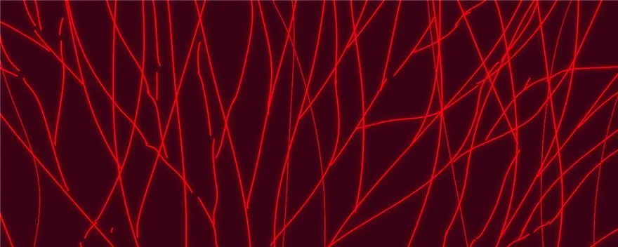 005 第1页