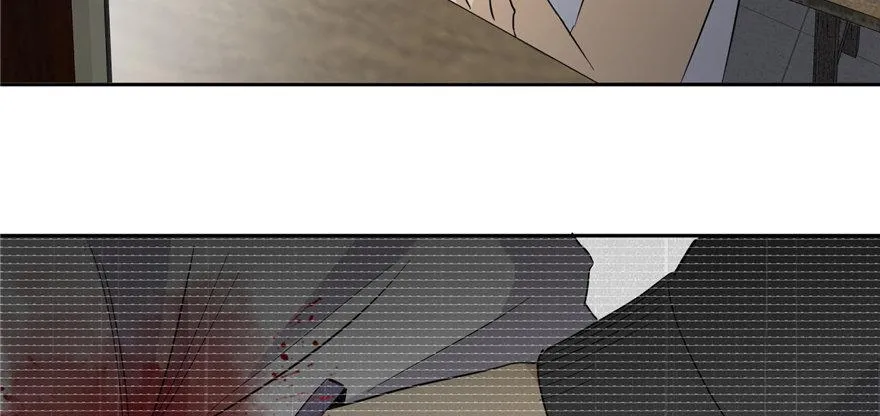 005 第146页