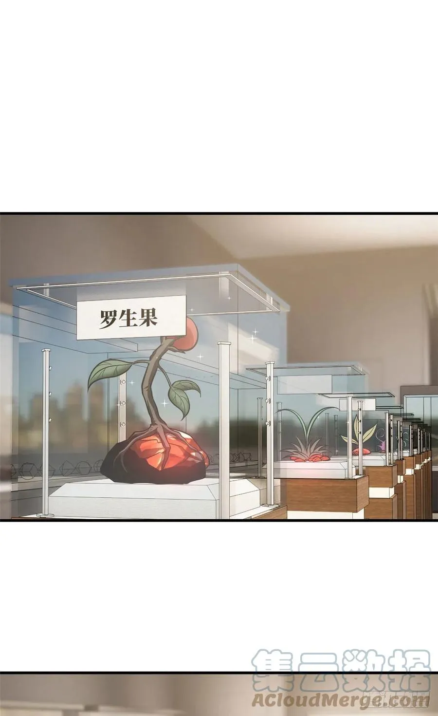 114 地窟研究所 第46页