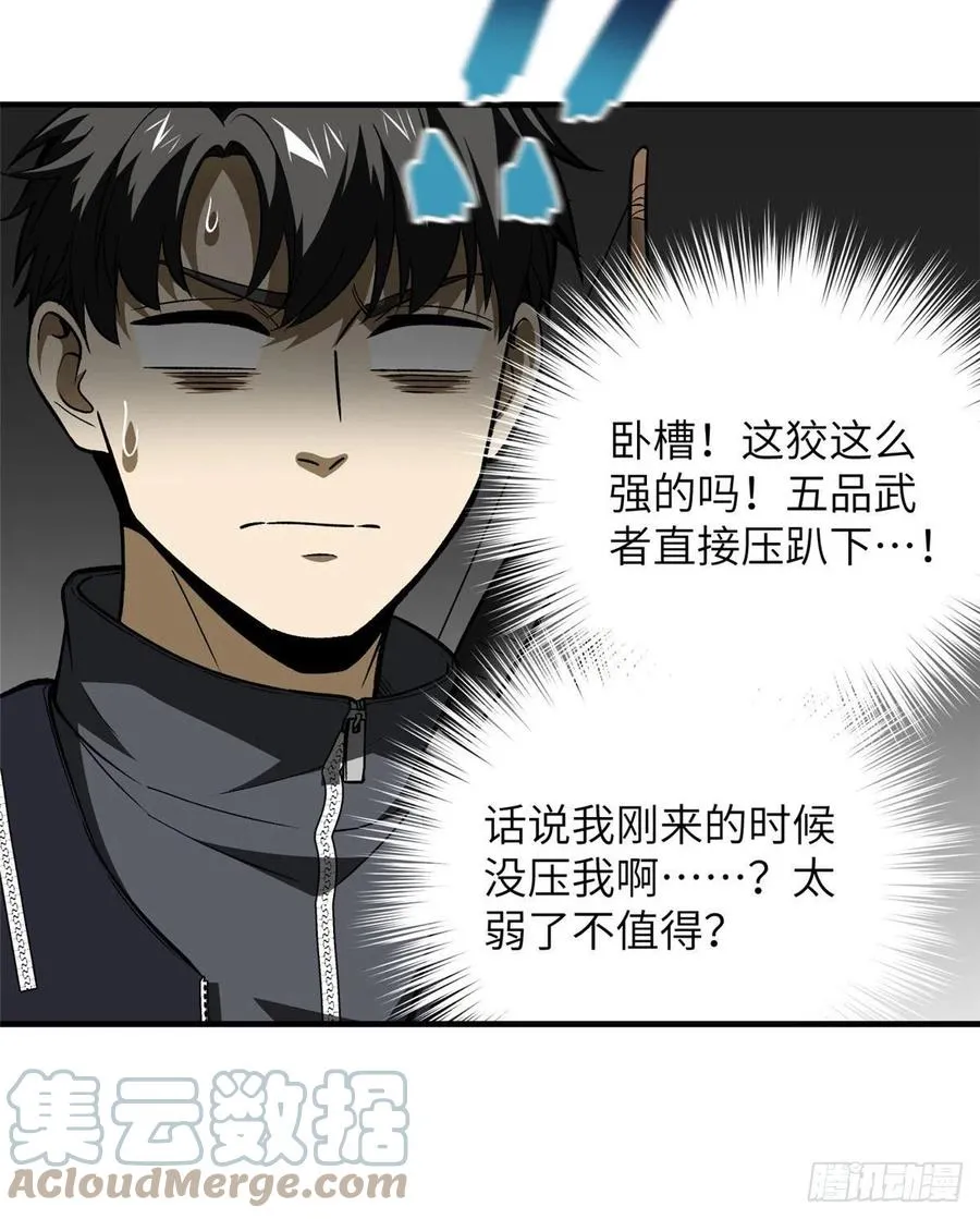 134 厨子 第55页