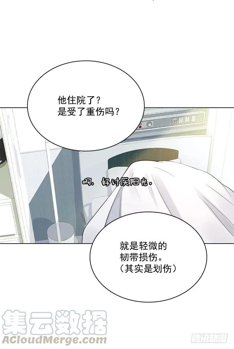石楠是不是死了 第25页
