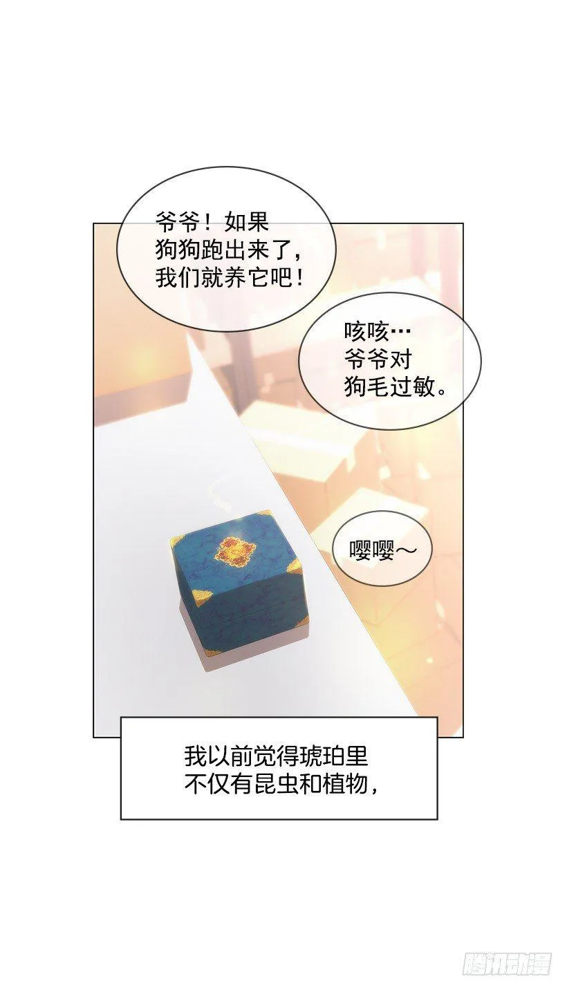 守护石 第7页