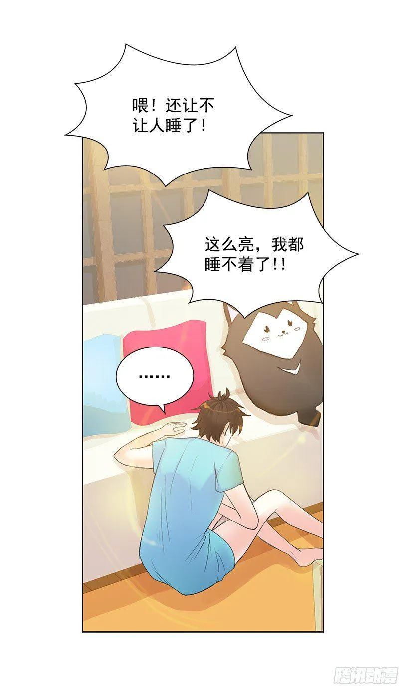 大型犬 第29页