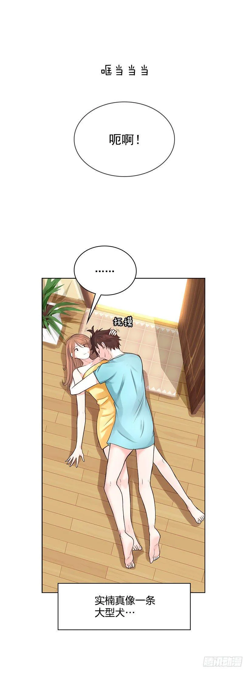 大型犬 第35页